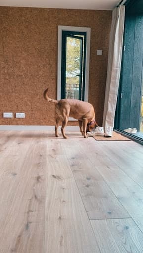 Little Green Rooms - Bristol Garden Rooms — Customer photo