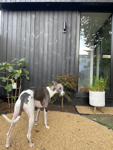 Cube Garden Rooms — Customer photo