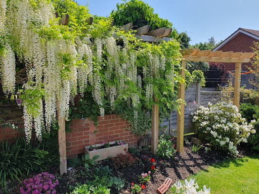 BUILDALL GARDENS LTD. — Customer photo
