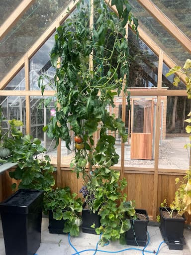 Greenhouse People Oxford South — Customer photo