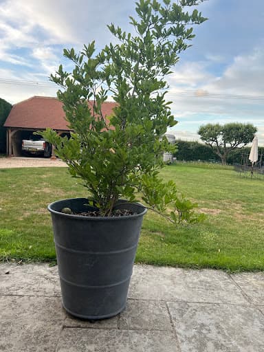 Agriframes — Customer photo