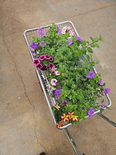 Roots & Shoots Garden Centre — Customer photo