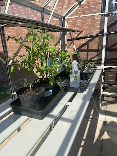 Greenhouse People Ponteland — Customer photo