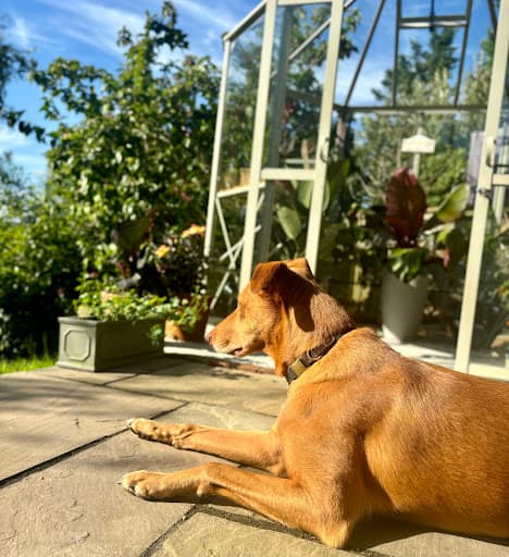 The Greenhouse People — Customer photo