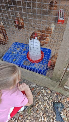 Woodmeadow Garden Centre and Tearoom — Customer photo
