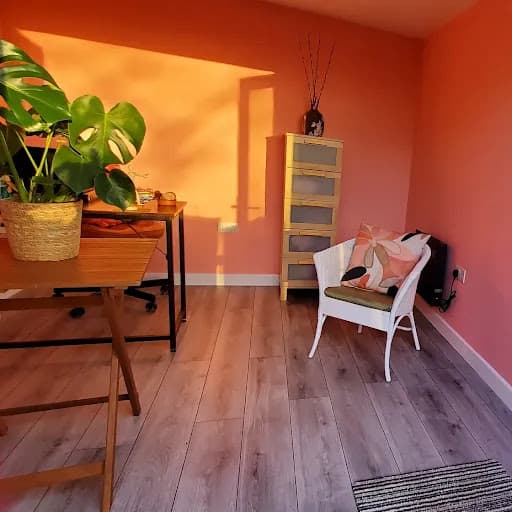 South Wales Garden Rooms — Customer photo