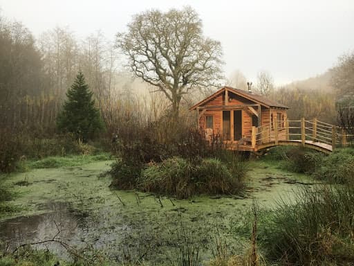 Nest Treehouses — Customer photo