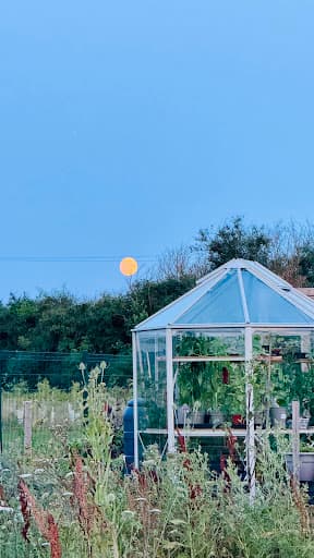 Greenhouse People Milton Keynes — Customer photo