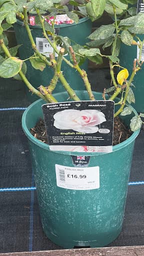 Laurel Farm Garden Centre — Customer photo
