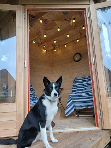 ForeverTimber Garden Buildings - Dorchester — Customer photo
