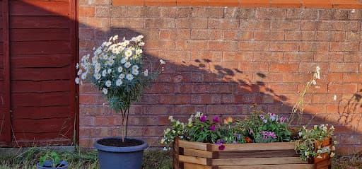 Laurel Farm Garden Centre — Customer photo