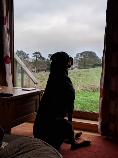 Arraslea Cabins — Customer photo